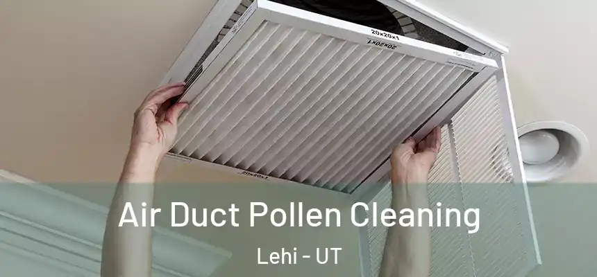  Air Duct Pollen Cleaning Lehi - UT