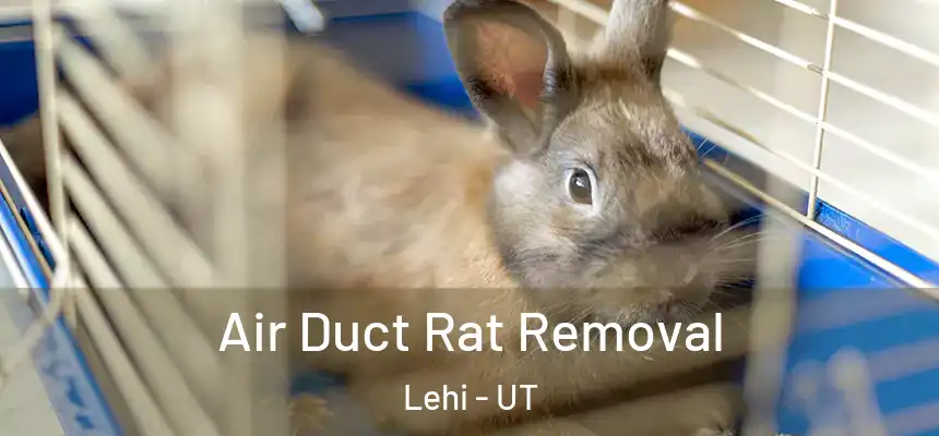  Air Duct Rat Removal Lehi - UT