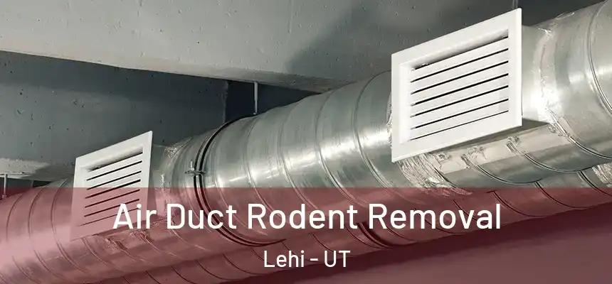 Air Duct Rodent Removal Lehi - UT