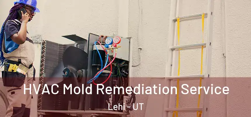 HVAC Mold Remediation Service Lehi - UT