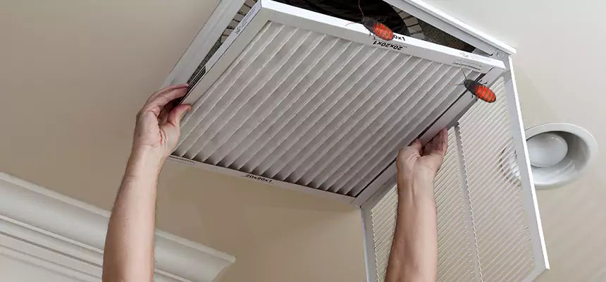 Preventive Cockroach-Proofing for Ducts in Lehi