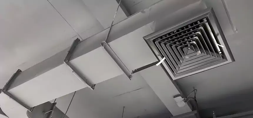 Restorative Allergy Relief Vent Cleaning – Coil, Blower & Housing Detail in Lehi