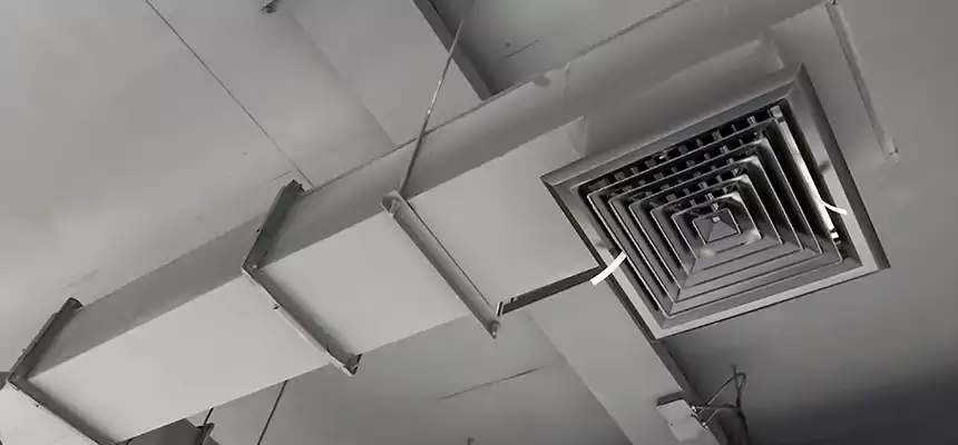 Our Rodent Droppings In Vents Services in Lehi, UT