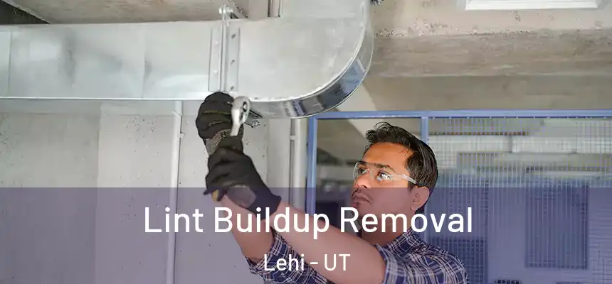  Lint Buildup Removal Lehi - UT