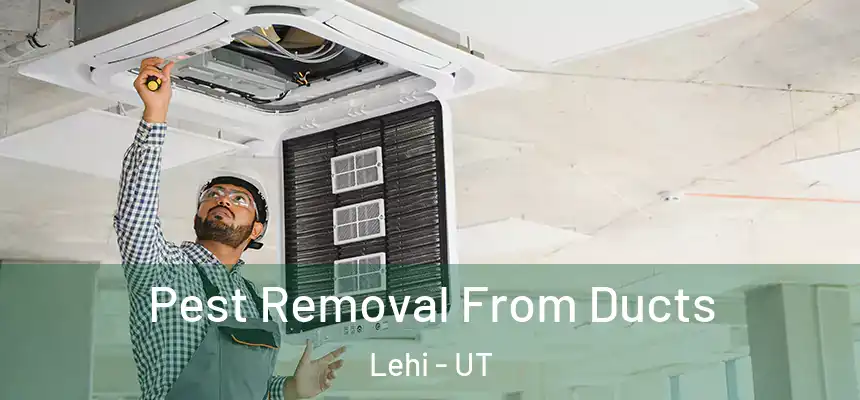  Pest Removal From Ducts Lehi - UT