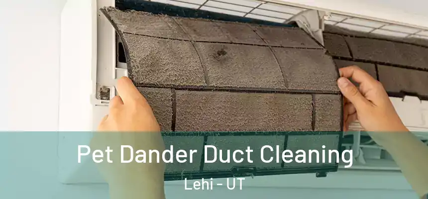 Pet Dander Duct Cleaning Lehi - UT