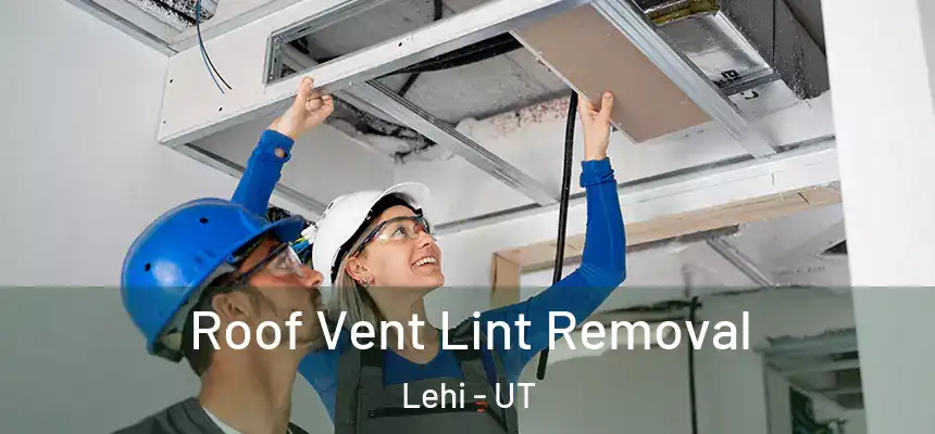 Roof Vent Lint Removal Lehi - UT