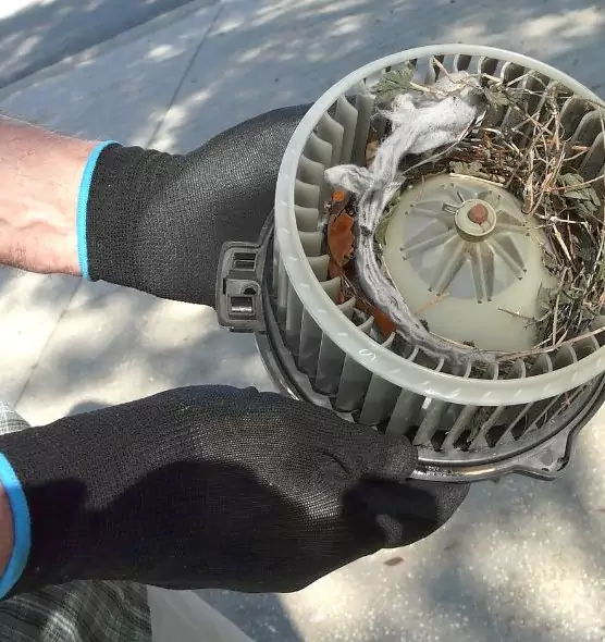 About Air Duct Rat Removal in Lehi, UT