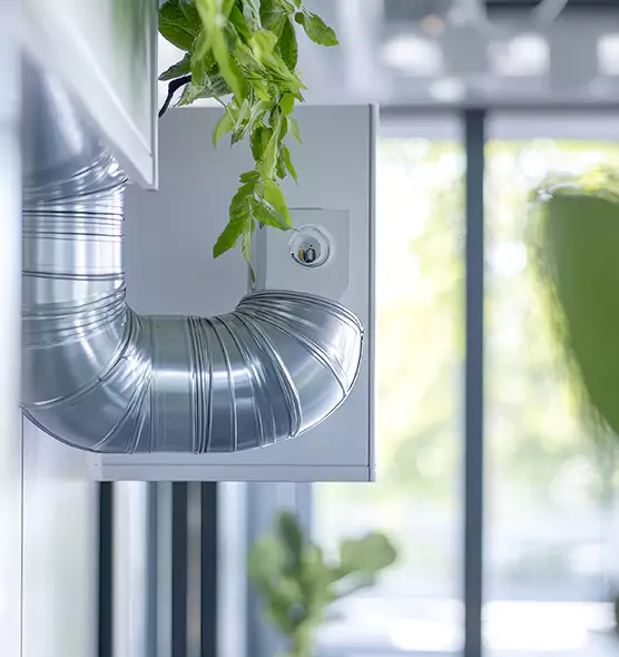 Professional Eco-Friendly Duct Cleaning Services in Lehi, UT