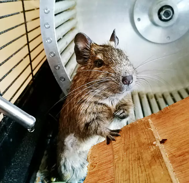 Why Homeowners & Businesses Trust Us Lehi, UT?