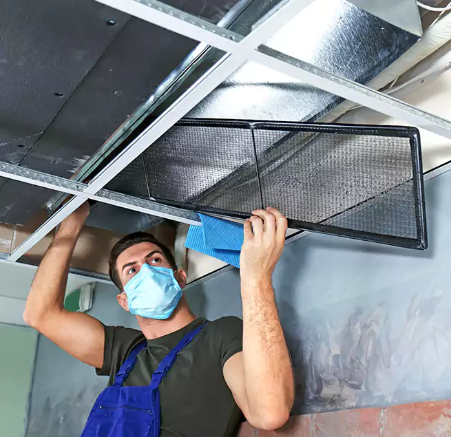 Why Homeowners Businesses Trust Us in Lehi, UT